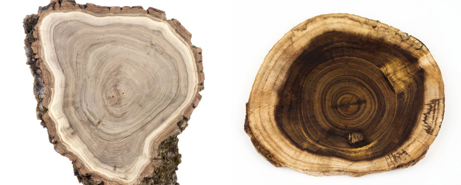 De mooiste soorten hout