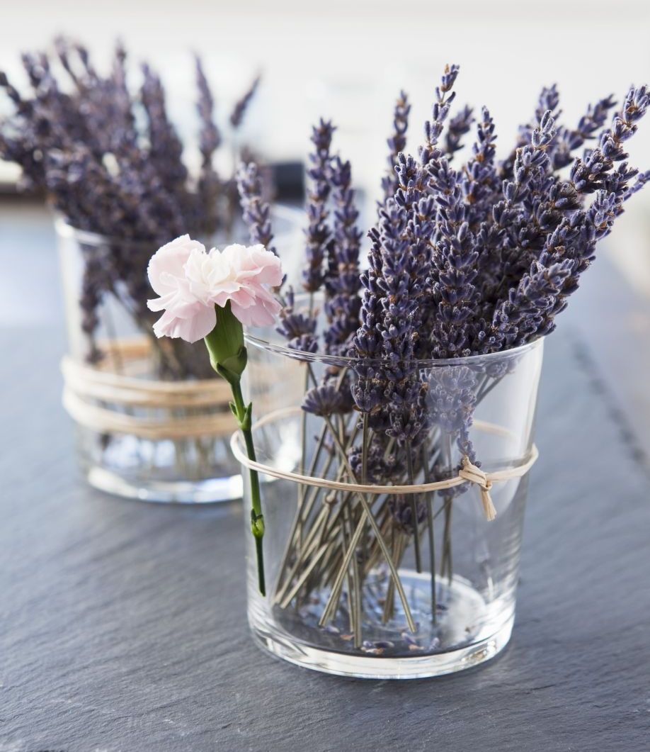 Westwing-lavendel