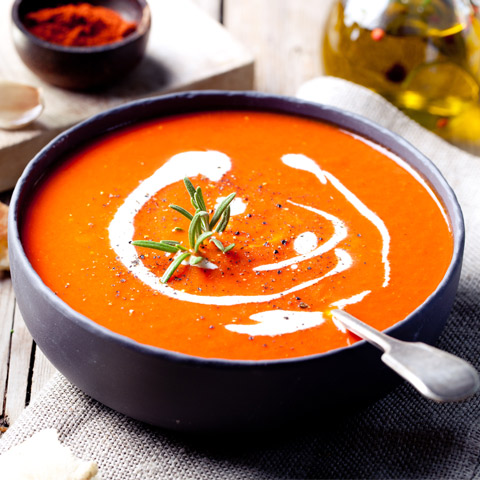 Fresh New Recipes