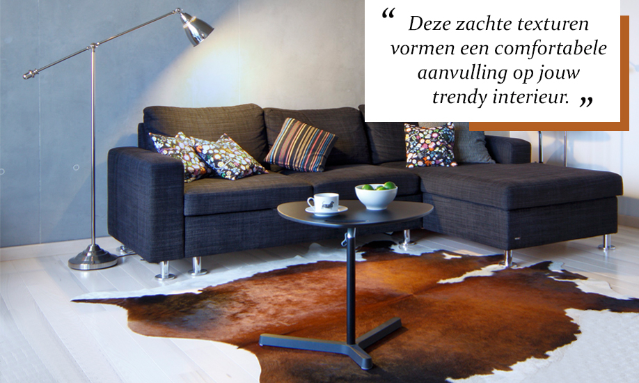 beeld-2