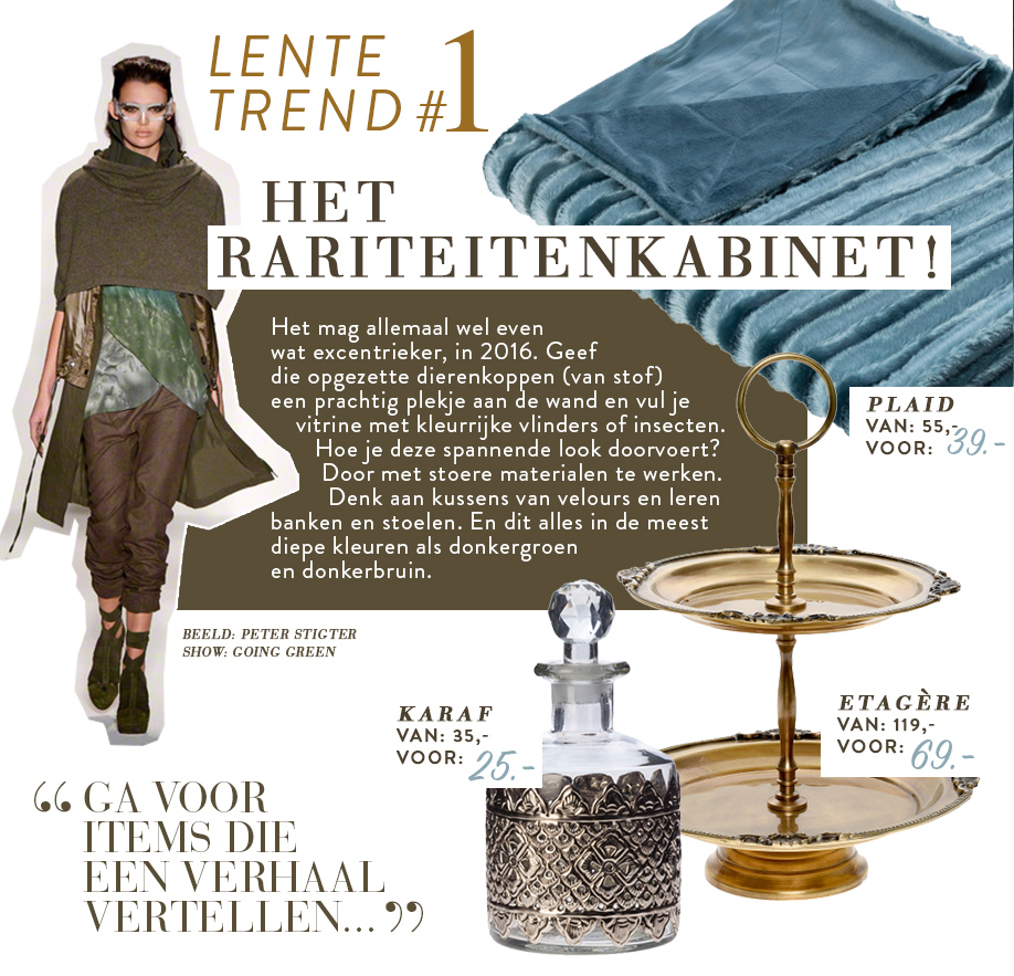 rariteitenkabinet1-aangepast