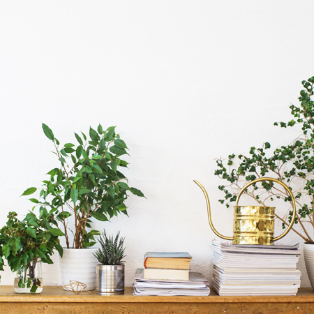 Marte's favoriete planten