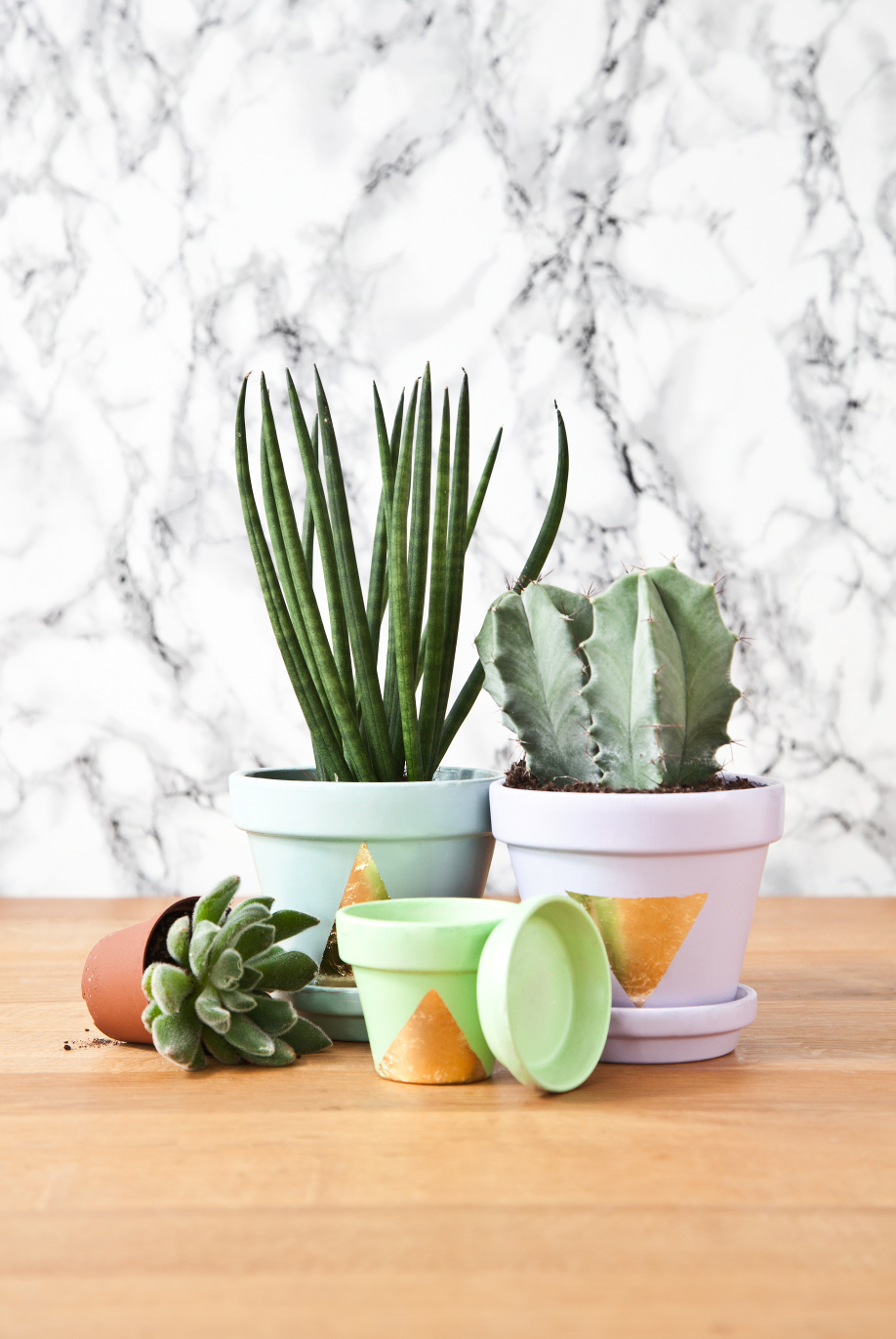 westwing-diy-bladgoud-plantenpotten