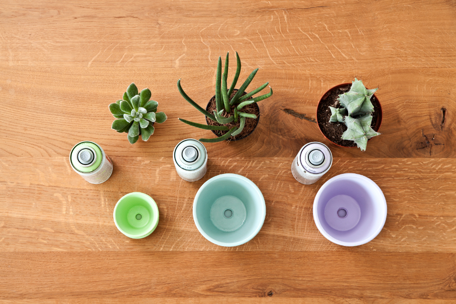 westwing-diy-bladgoud-plantenpotten4