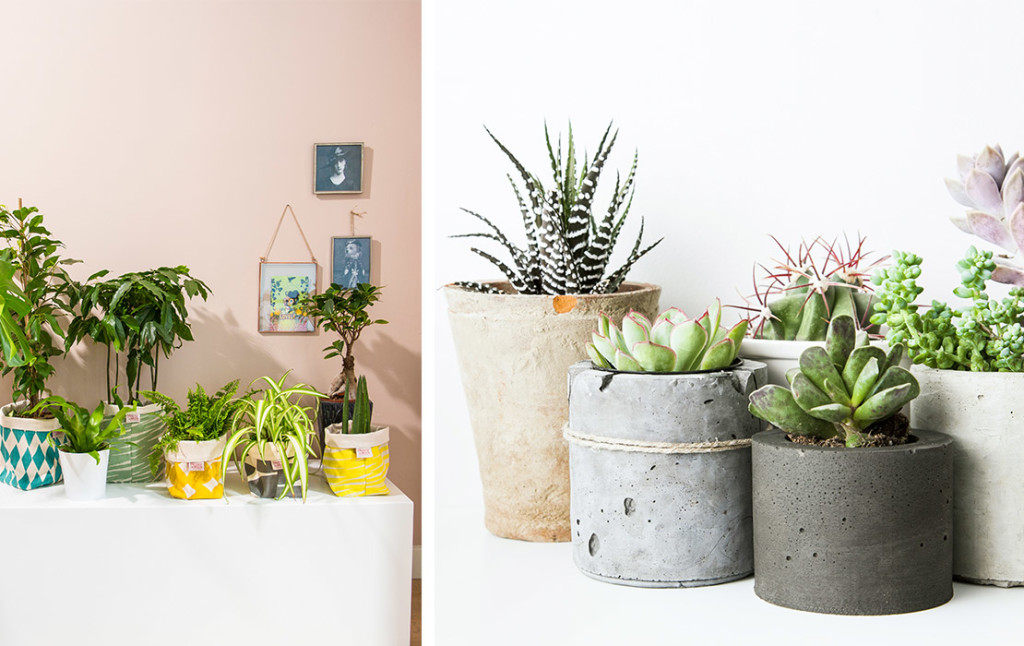 5_tropischinterieur_5stappen