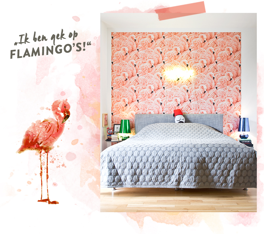 Homestory_layout_C3_NL