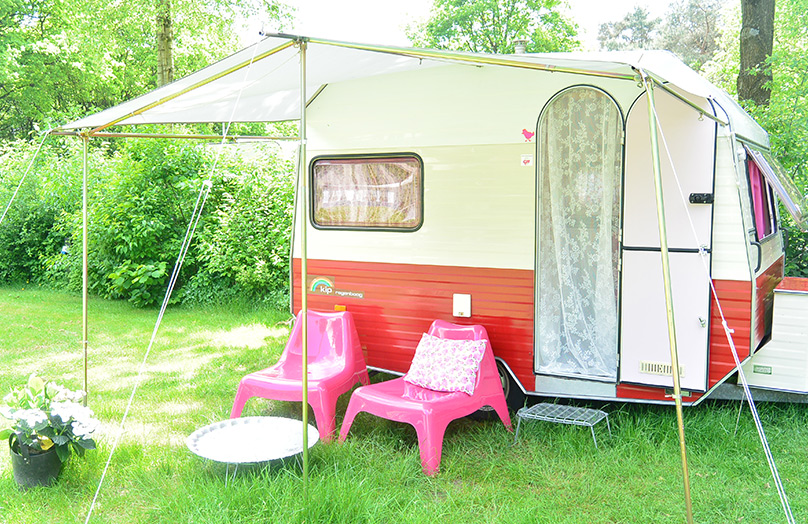 Trend: op de glamping
