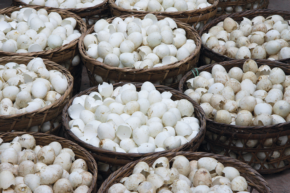 Cravt-Original_eggshell-4