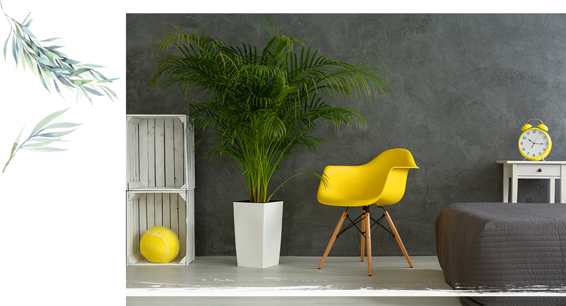 02_mayra_botanische_tuin
