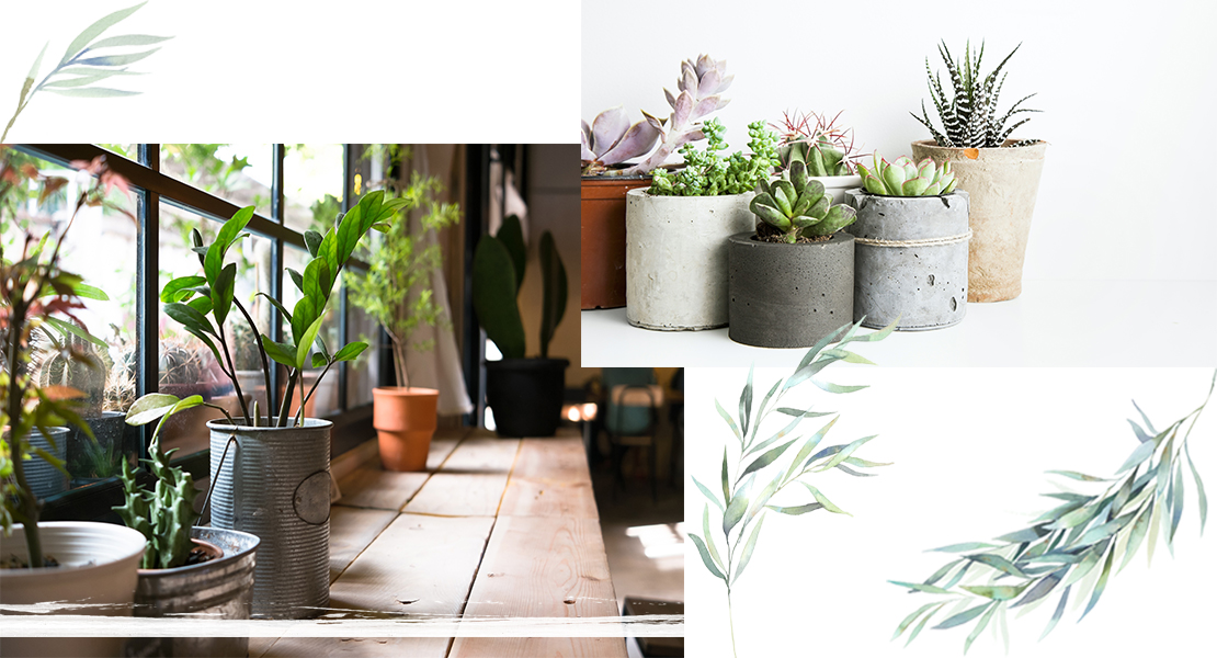 04_mayra_botanische_tuin