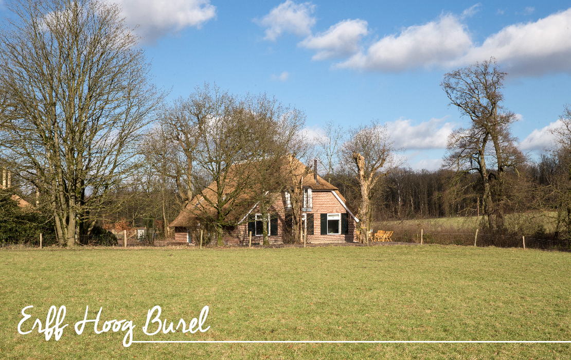 03_staatsbosbeheer_buitenleven_vakanties