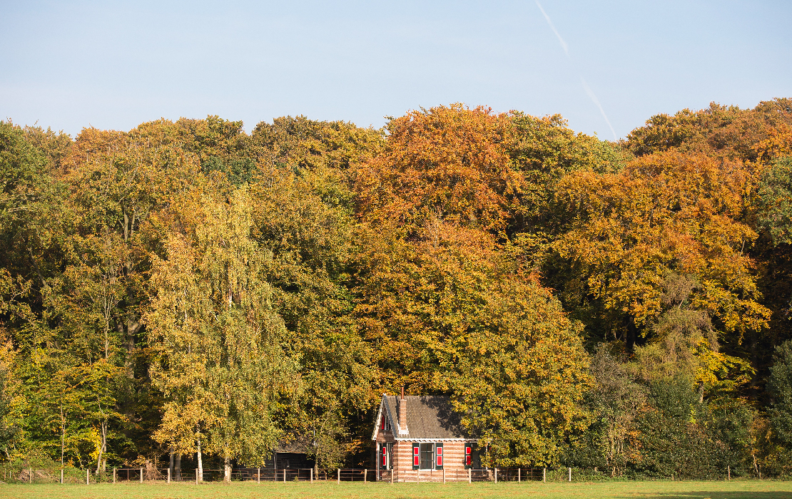 02_staatsbosbeheer_buitenleven_vakanties