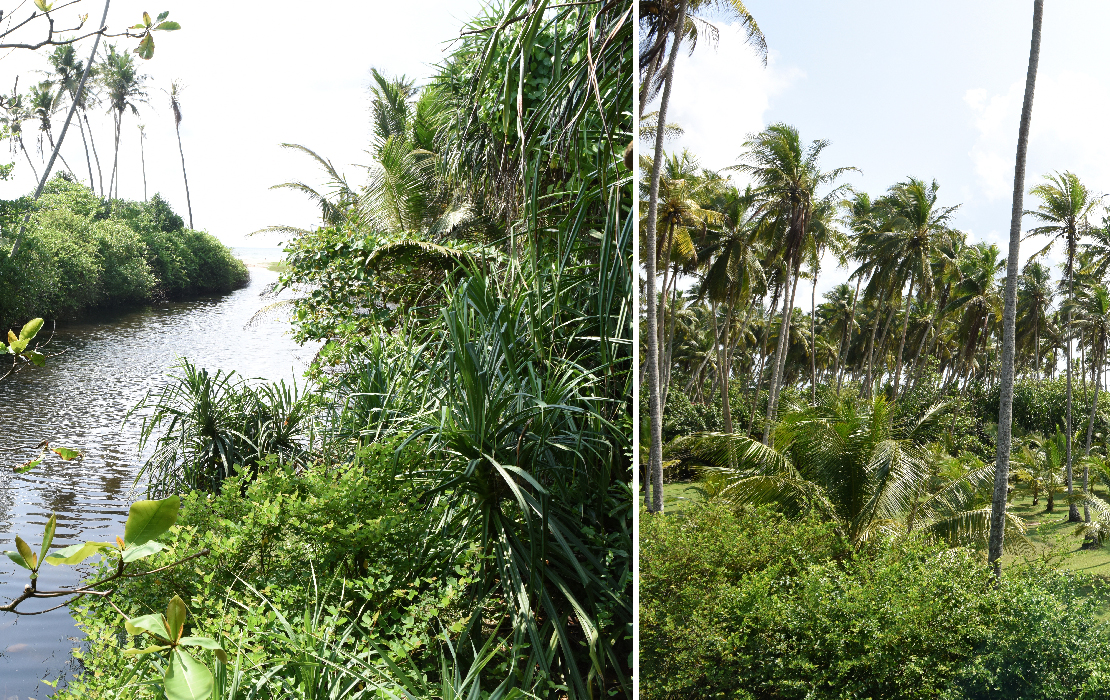 02_katrin_messner_srilanka