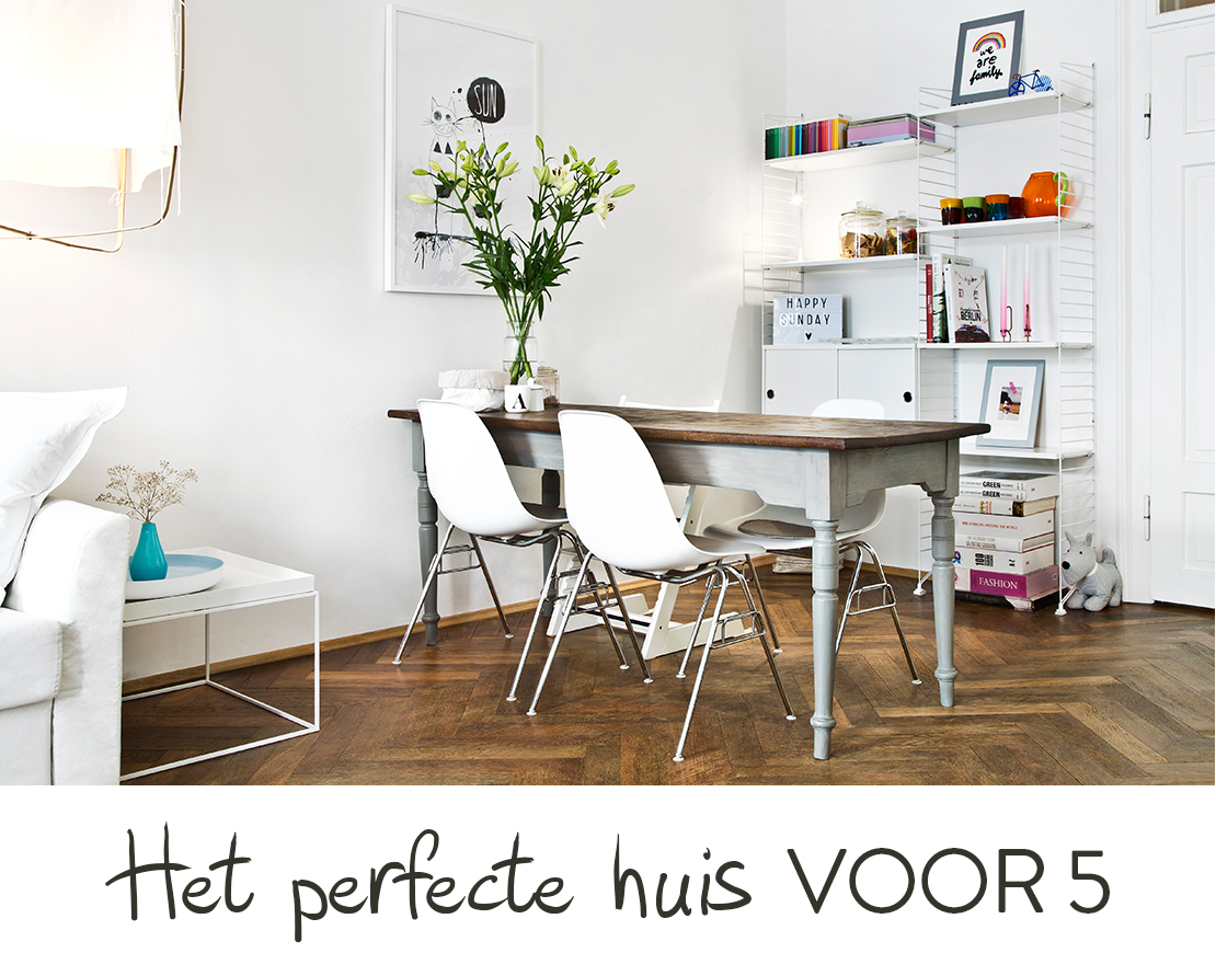 Scandinvische-stijl-perfecte-huis-voor-5