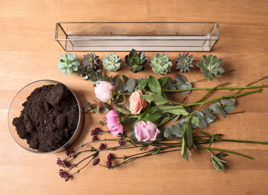 terrarium ozdobne z sukulentami