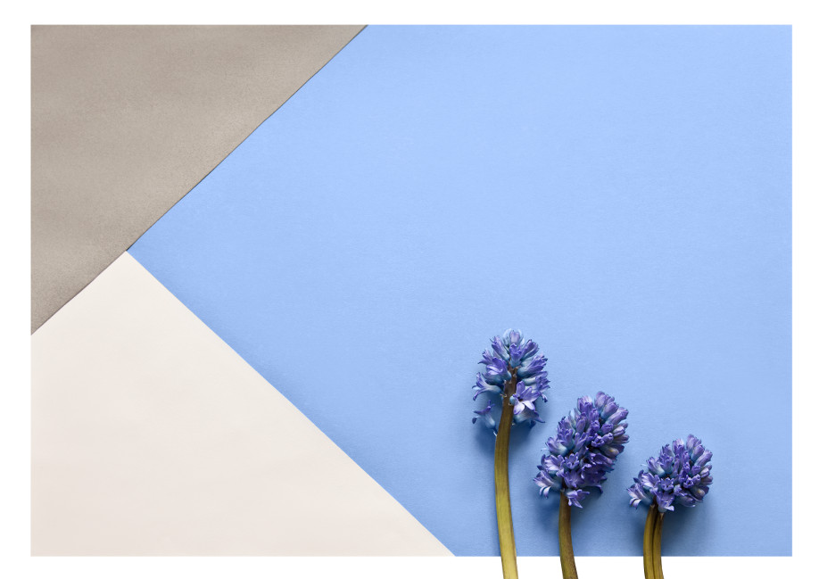 westwing-serenity-pantone-kwiatki