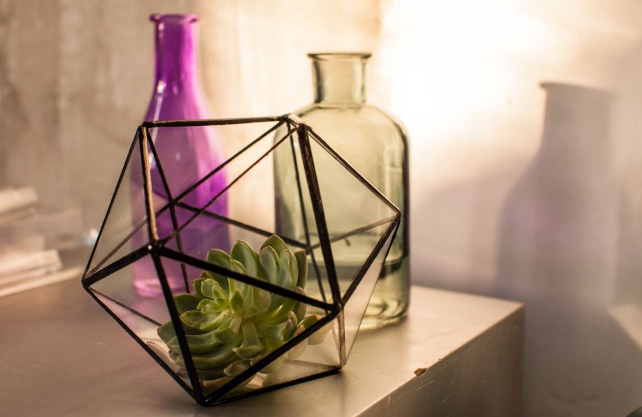 westwing-rosliny-w-terrarium