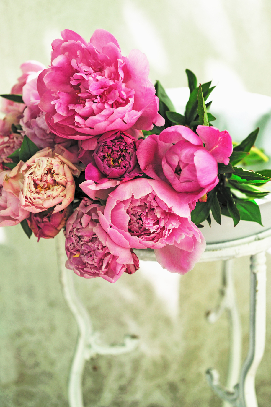 Westwing-kwiaty-peonie