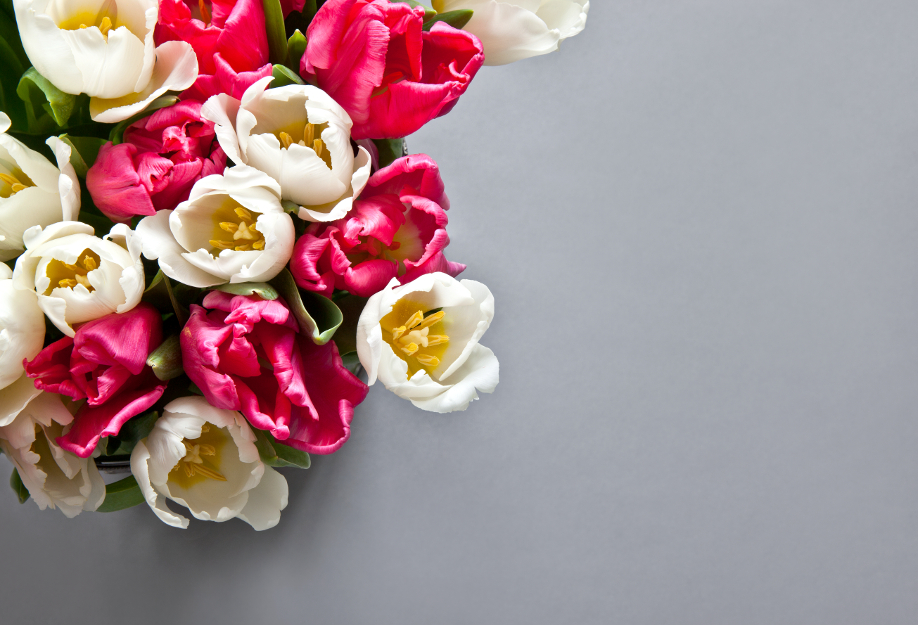 Westwing-kwiaty-tulipan-1