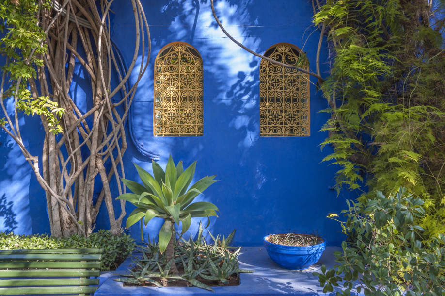 westwing-ogrody-majorelle-2