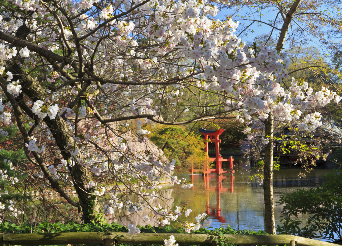westwing-najpiekniejsze-ogrody-swiata-japonski