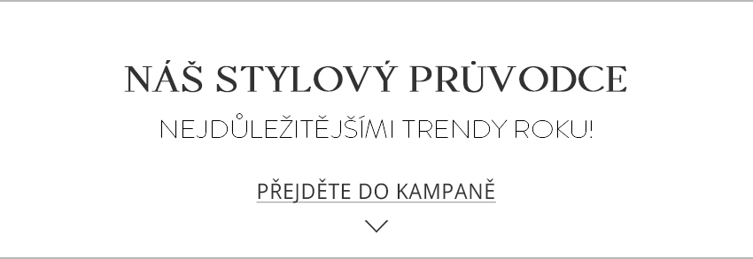 Vstupte