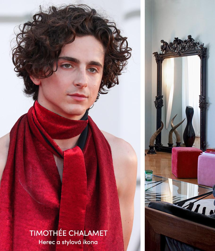 Inspired by: Timothée Chalamet