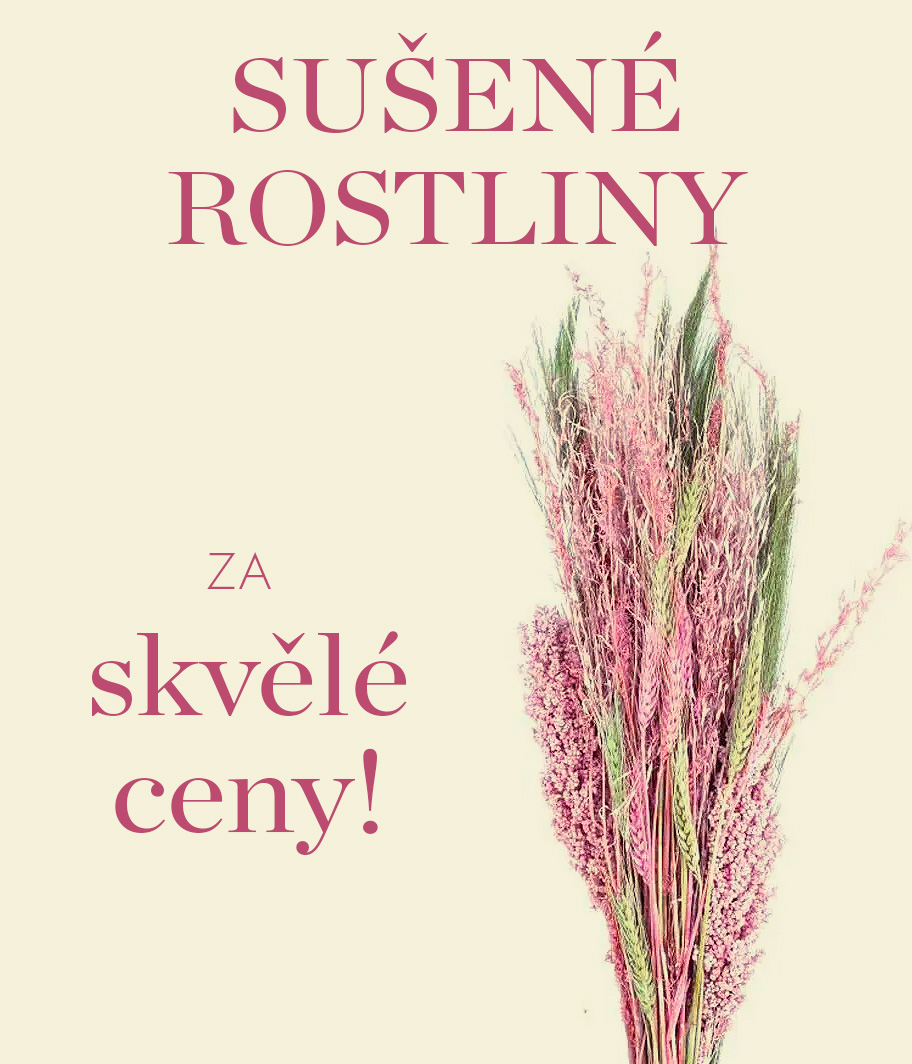 Sušené rostliny