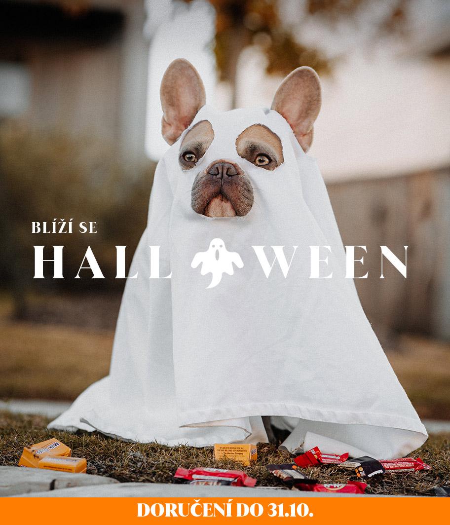 THIS IS HALLOWEEN