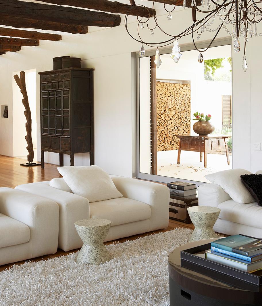 Modern & Exotic