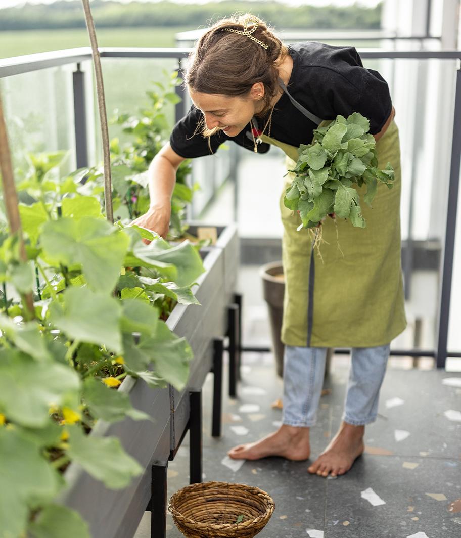 Outdoor top trend: Edible Garden