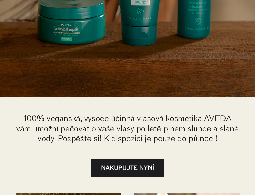 Vstupte