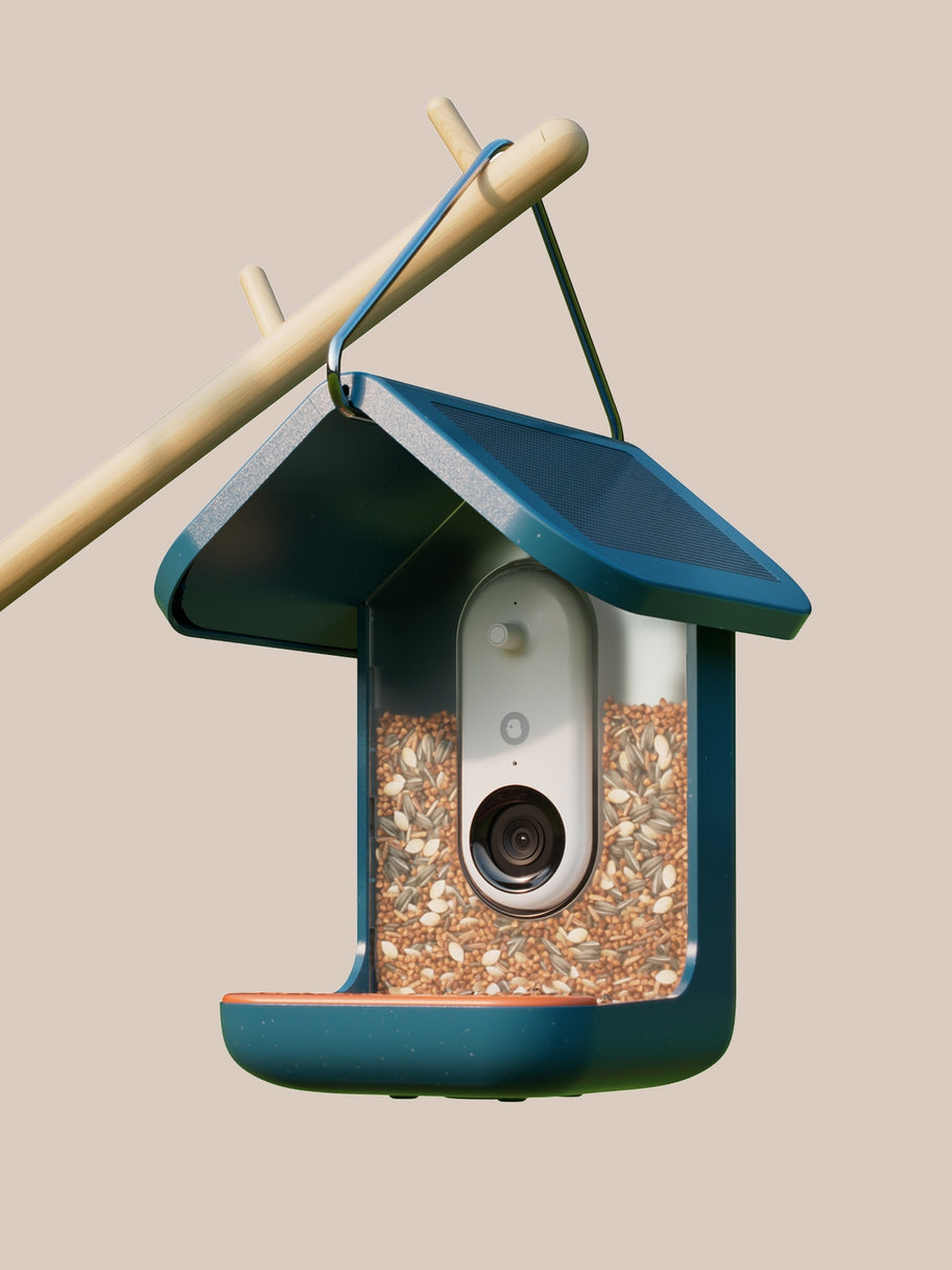 Bird Buddy®